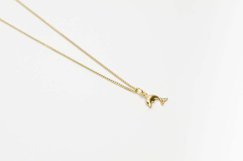 Kette Delfin