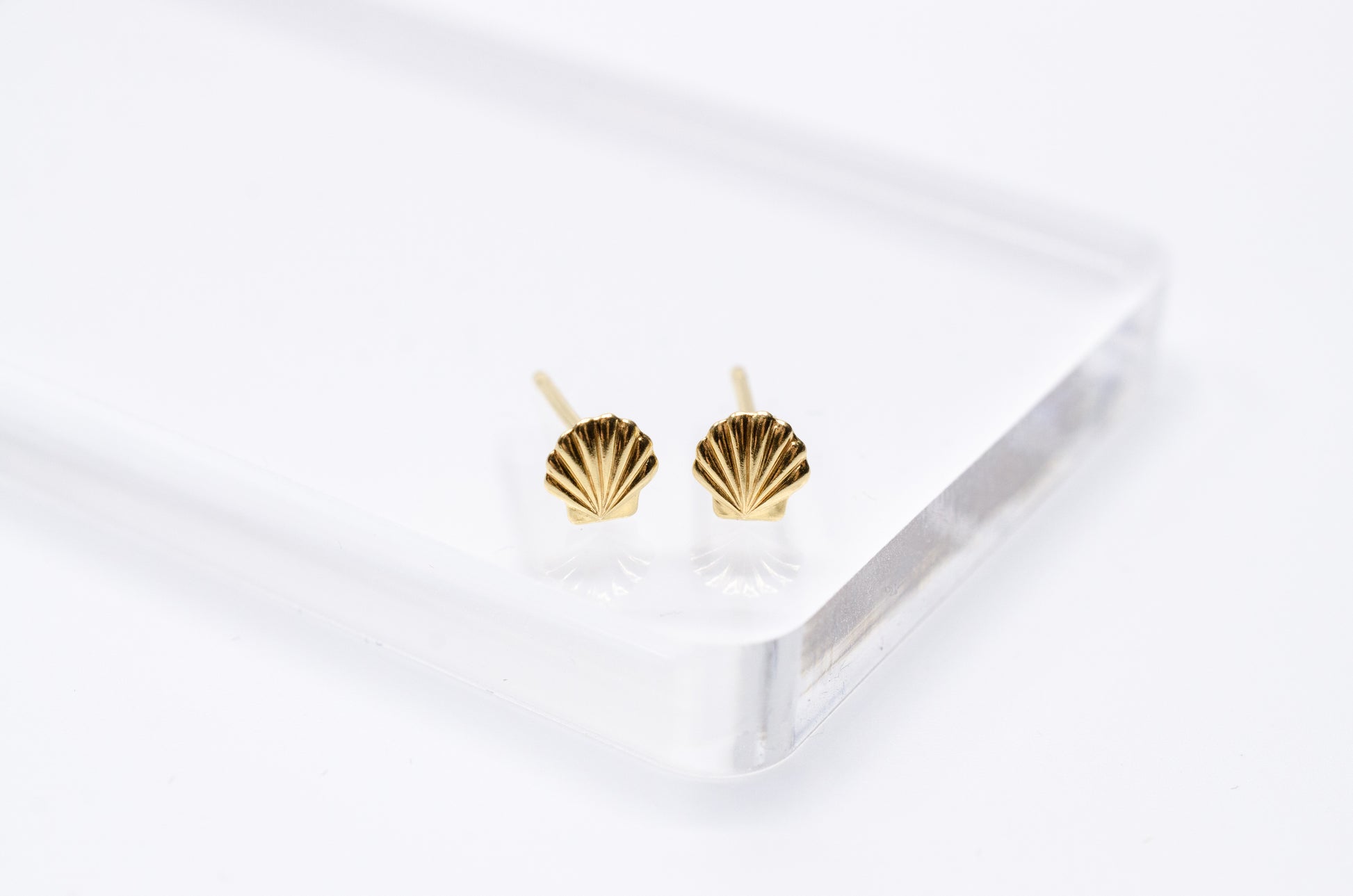 Ohrstecker Muschel