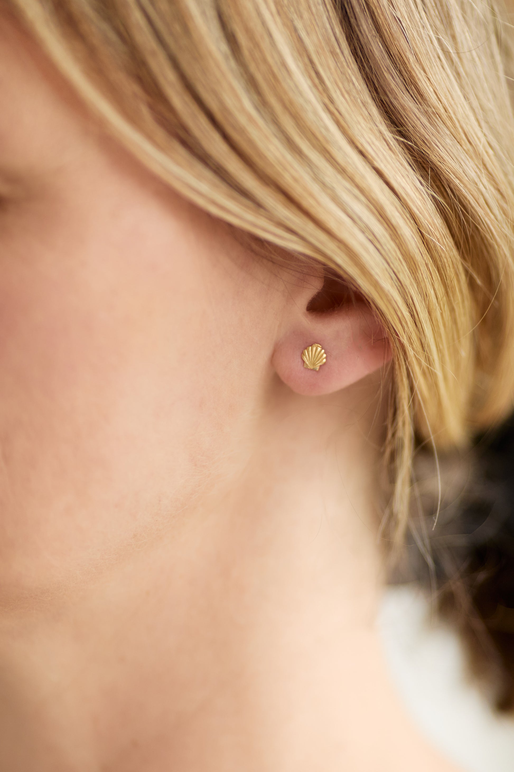 Ohrstecker Muschel